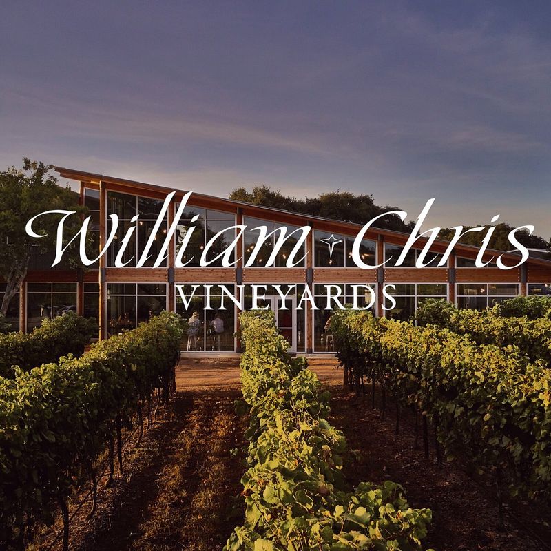 Winemaker's Tasting Experience for 4 Guests