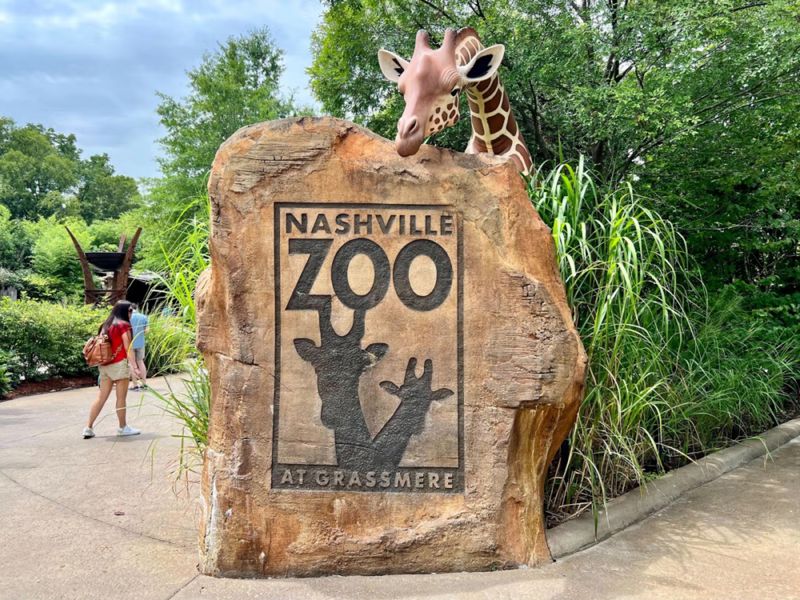 Family Adventure at the Nashville Zoo
