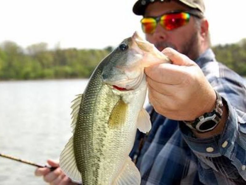 Fishing Trip on Percy Priest Lake