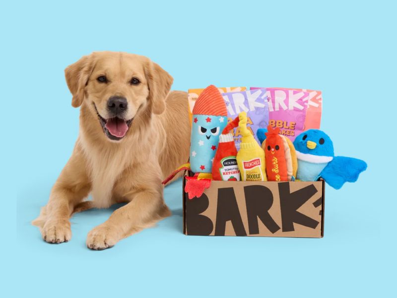 Bark Box