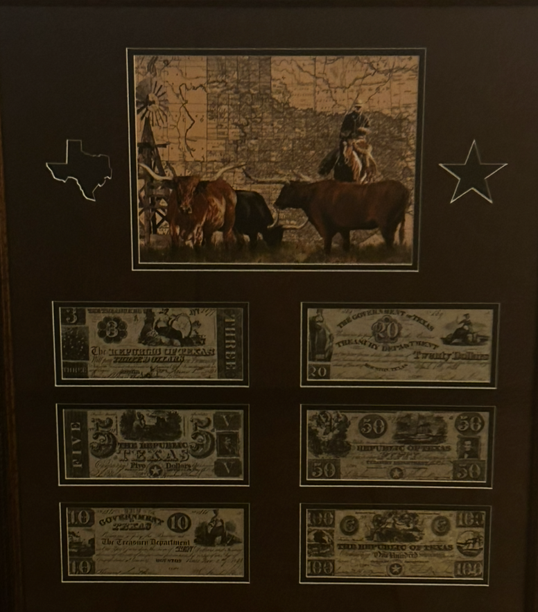 Texas Map and Currency Framed Wall Art