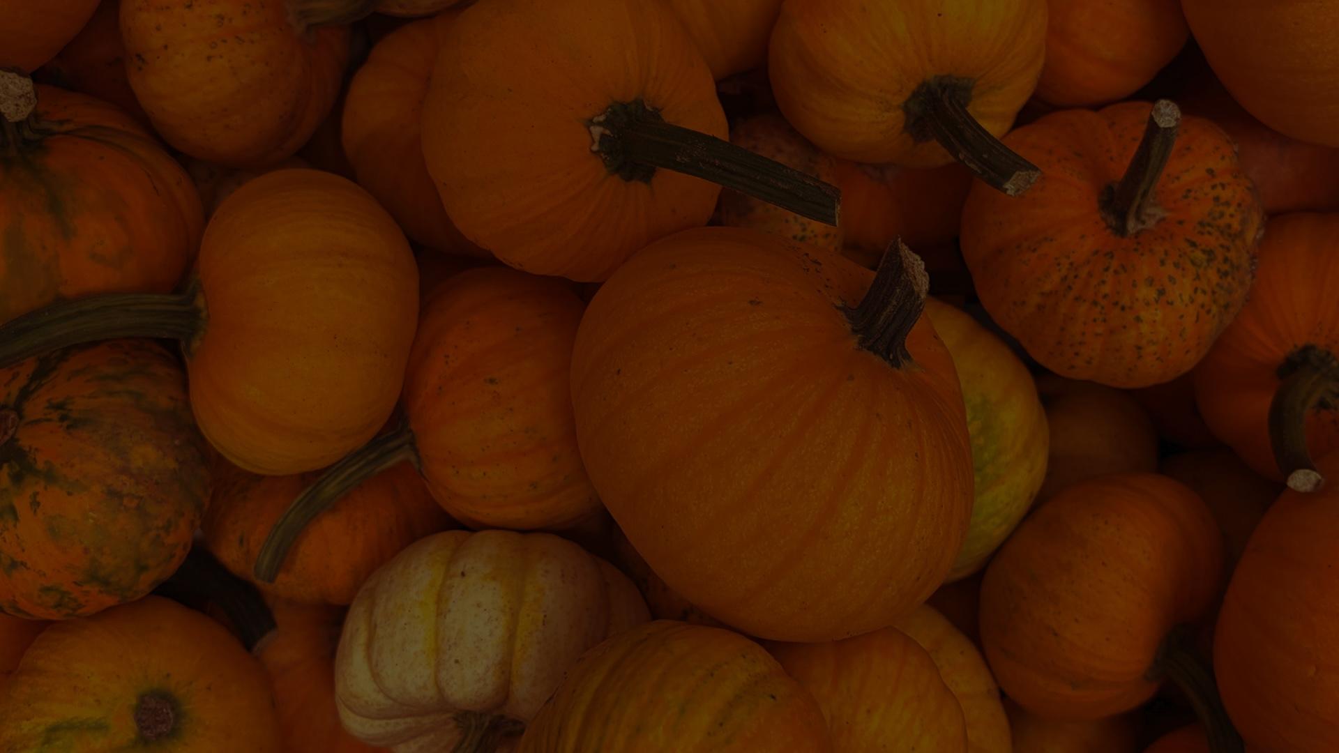 Pumpkins & Petals