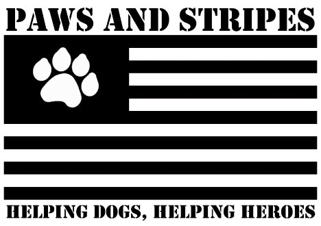 Paws and Stripes